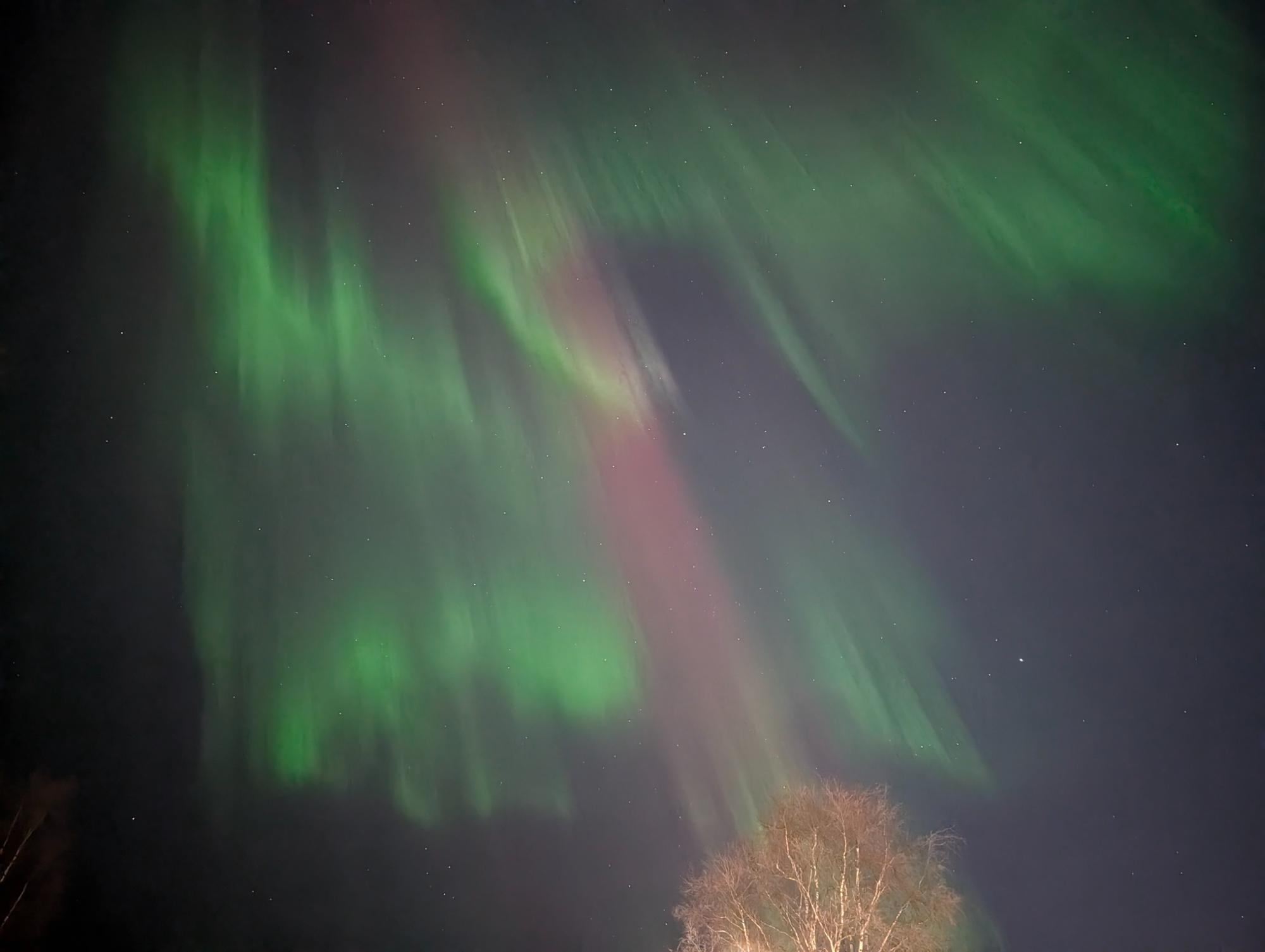 Cosa fare Luleå Lapponia Svedese Aurora Boreale
