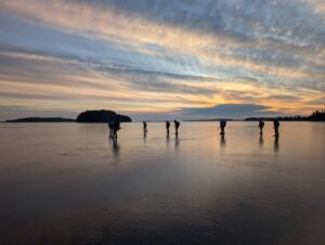 Cosa fare Luleå Lapponia Svedese Aurora Boreale